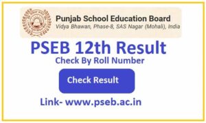 PSEB 12th Result